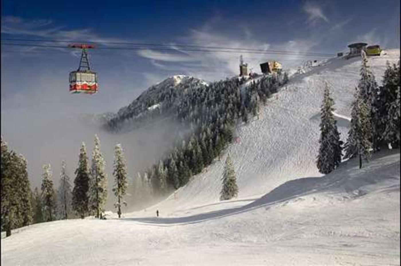 Alpin Aparthotel 2302 Poiana Brasov Εξωτερικό φωτογραφία